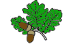 Разград Лес logo